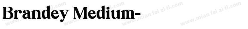 Brandey Medium字体转换